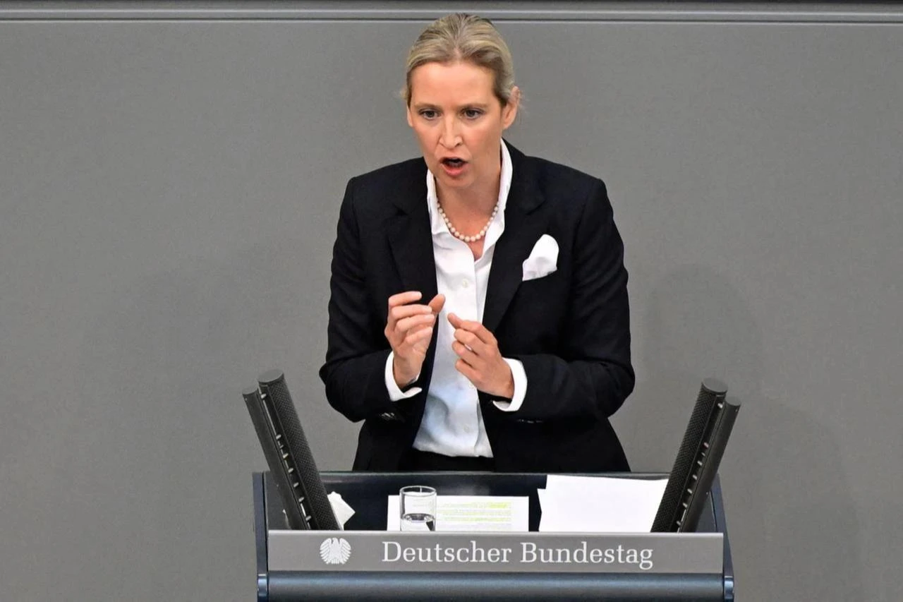 AfD co-leader pushes Germany's euro, Schengen exit