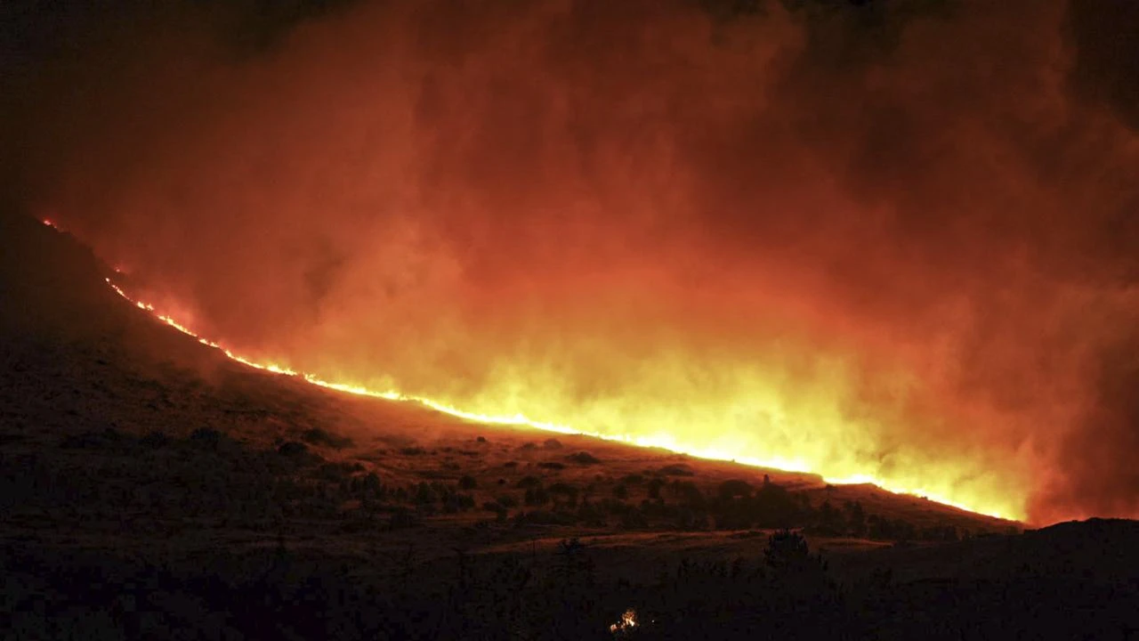 Ankara woodland fire extinguished after 8 hours