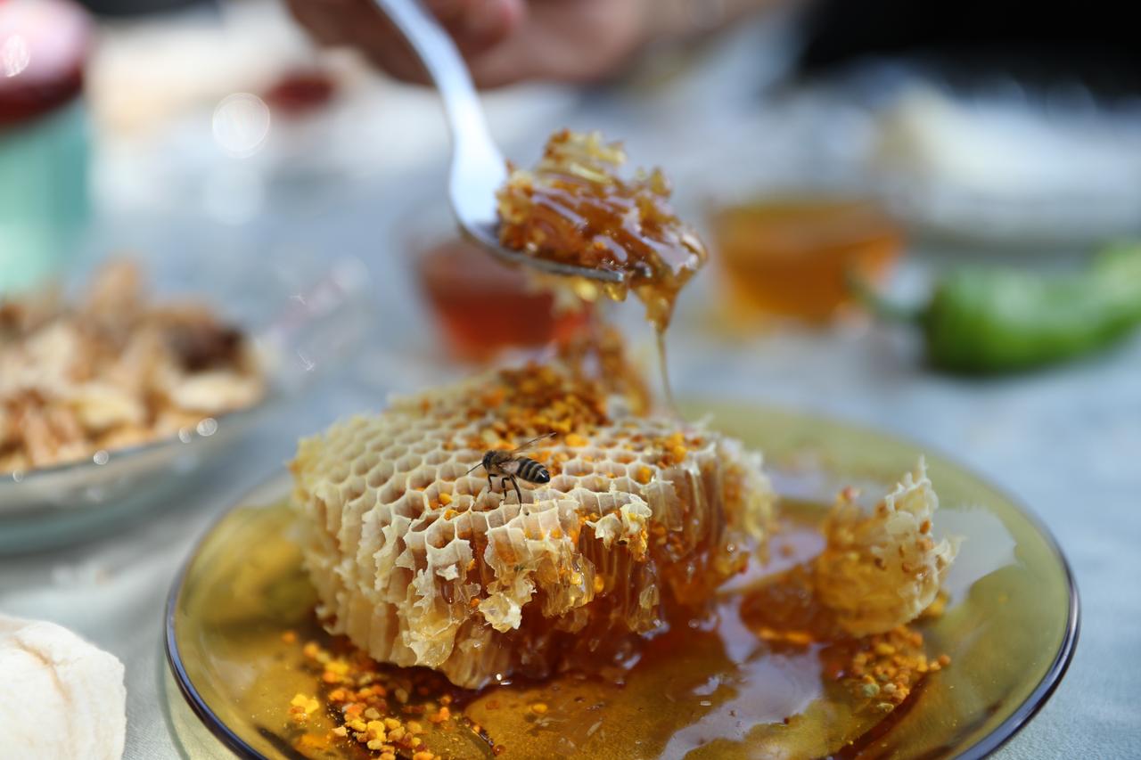 Erzincan to launch Türkiye's first organic bee venom production
