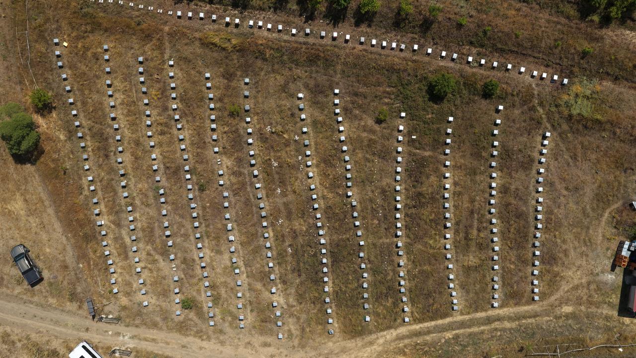Rows of beehives are seen from the air at an apiary in Erzincan, Türkiye, Aug. 26, 2026. (AA Photo)