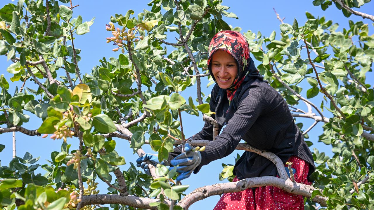 Anadolu Agency