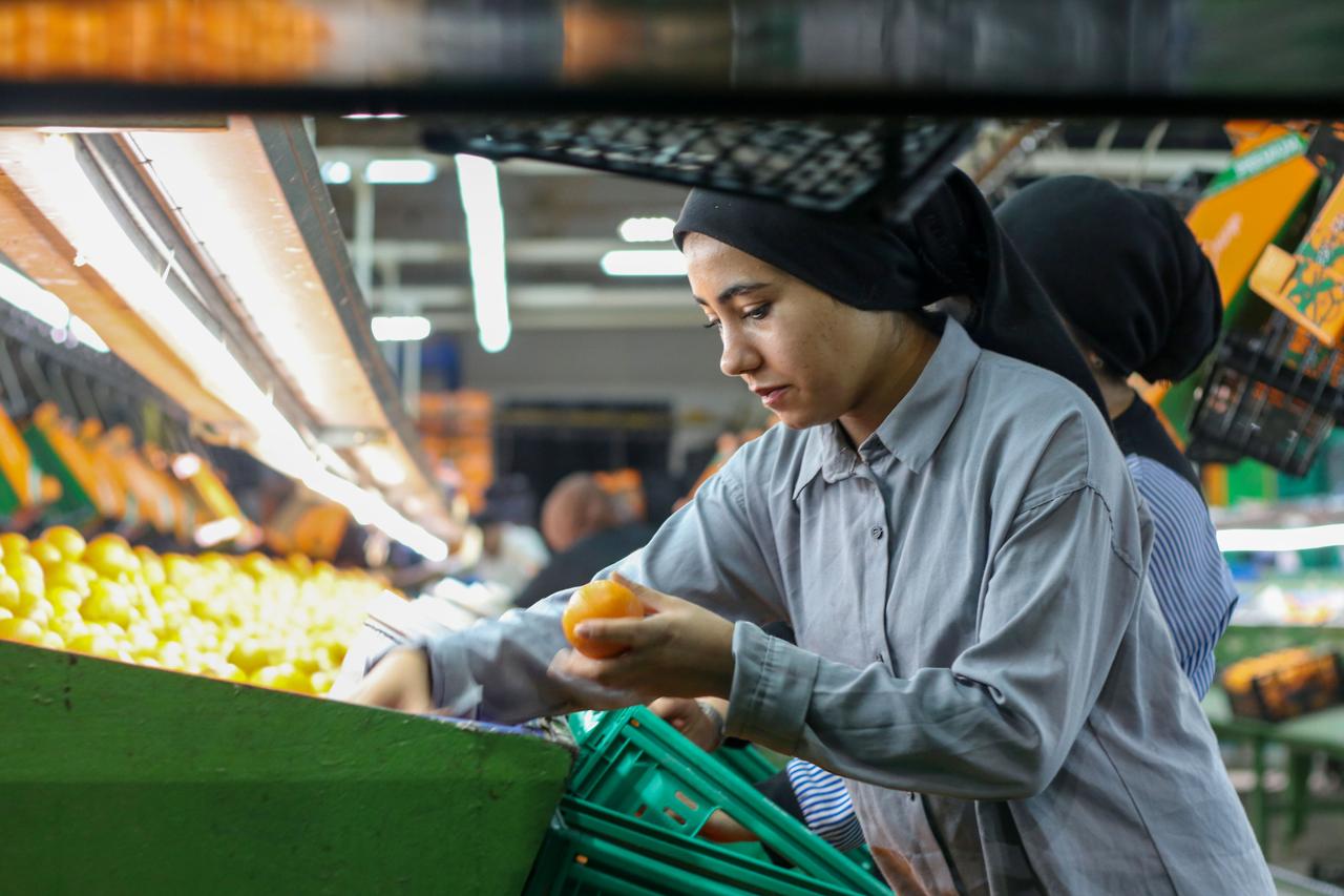 Türkiye’s fresh fruit exports exceeded the $1 billion mark for the first time in the January-July period, photo accessed on Aug. 26, 2026. (AA Photo)