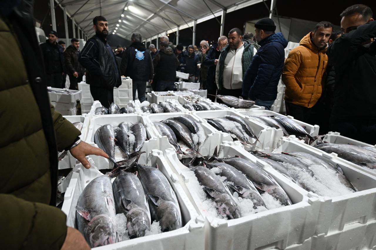 Fishermen haul in torik off Istanbul and Tekirdag after a rare seasonal run boosts catches in the Marmara Sea. Jan. 25, 2025. (AA Photo)