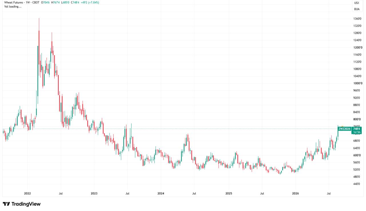 Candlestick chart shows wheat futures price movements from 2022 to Aug. 27, 2026. (Chart via TradingView)
