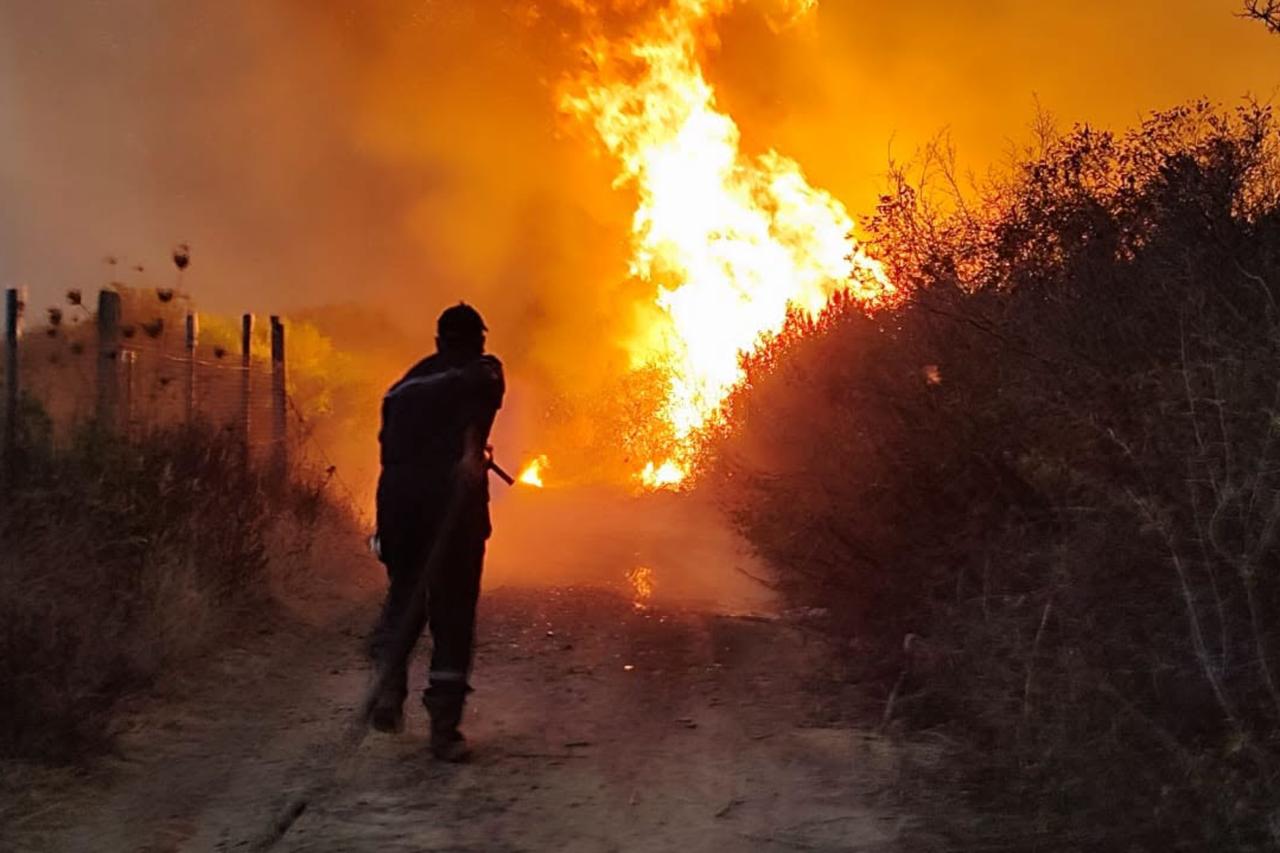 Algeria wildfires kill 12, dozens still burning Image