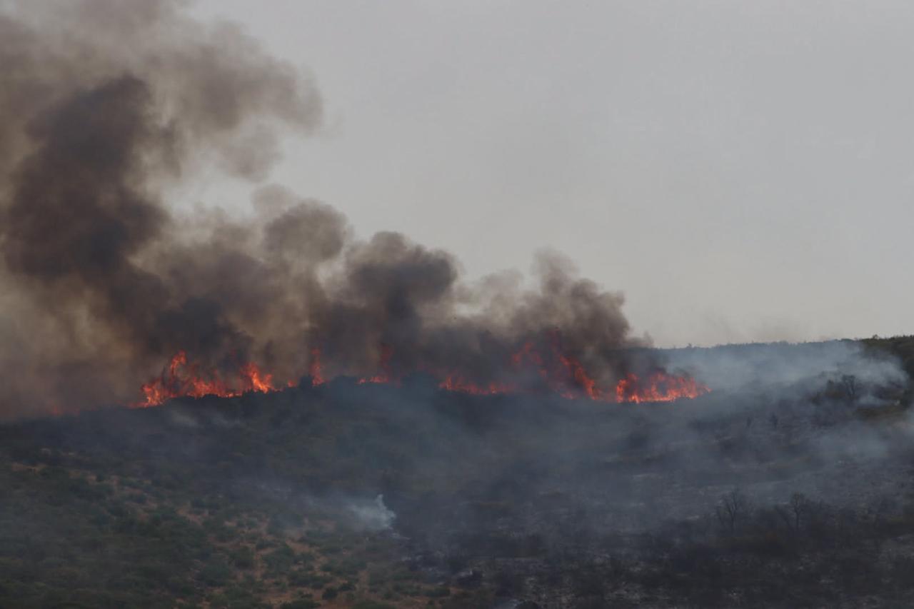 Flames and thick smoke rise from a wildfire burning across vegetation in Algeria, Aug. 28, 2026. (AA Photo)