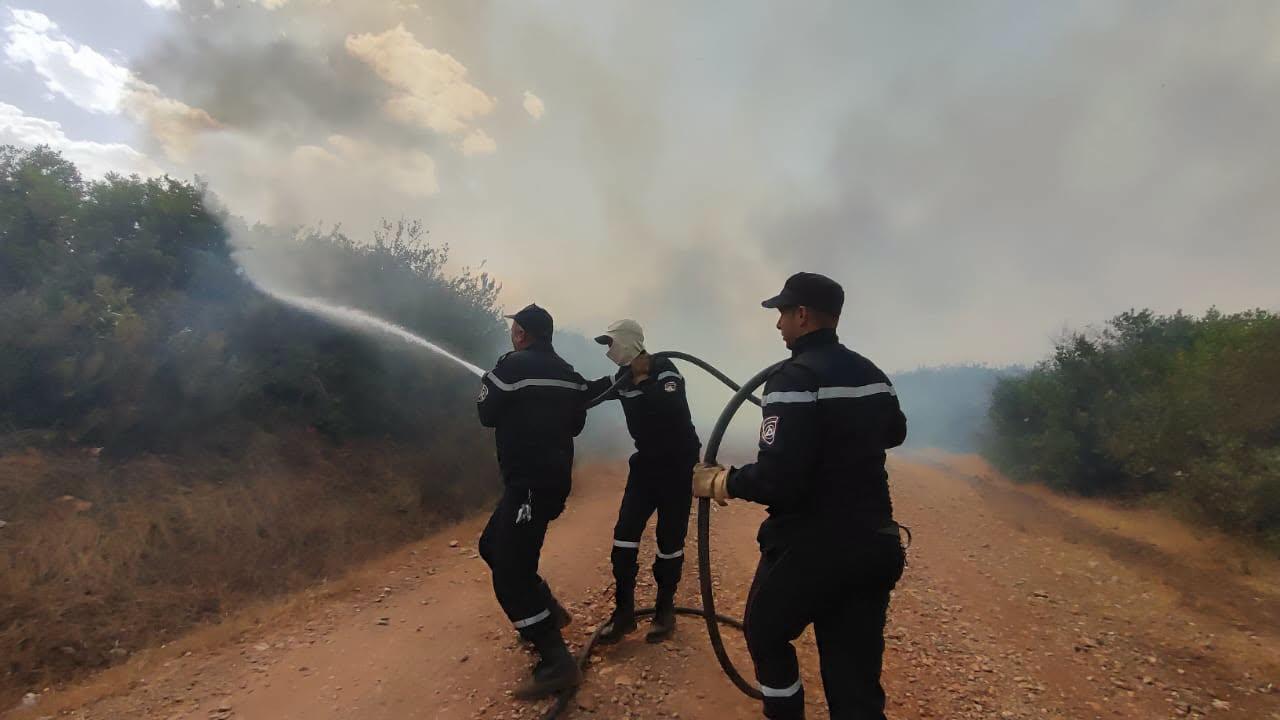 Firefighters spray water on burning vegetation during efforts to contain a wildfire in Algeria, Aug. 28, 2026. (AA Photo)