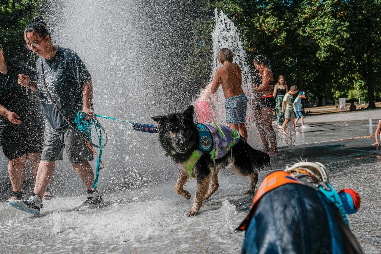 Residents and their pets cool off in public fountains at Parc de la Pepiniere as a summer heatwave brings soaring temperatures in Nancy, eastern France, on July 29, 2026. (AA Photo)