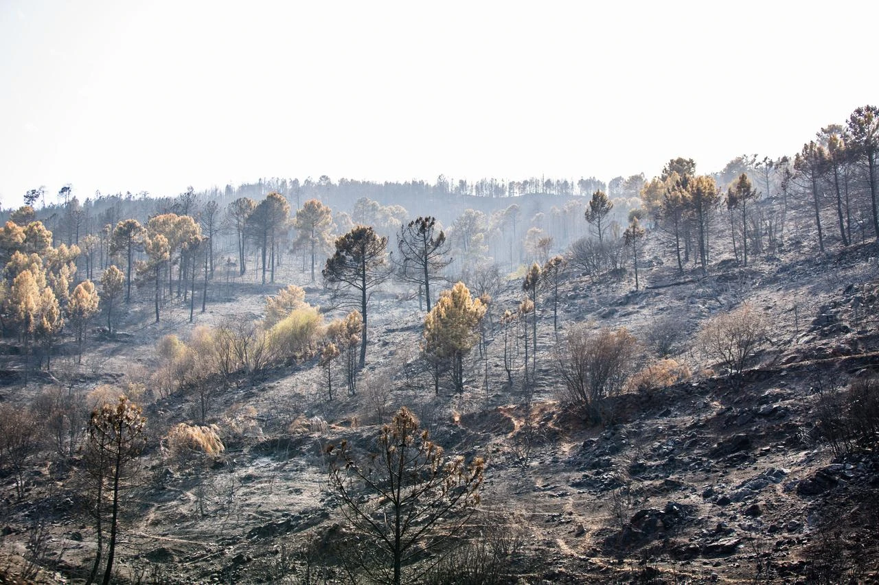 Anadolu Agency