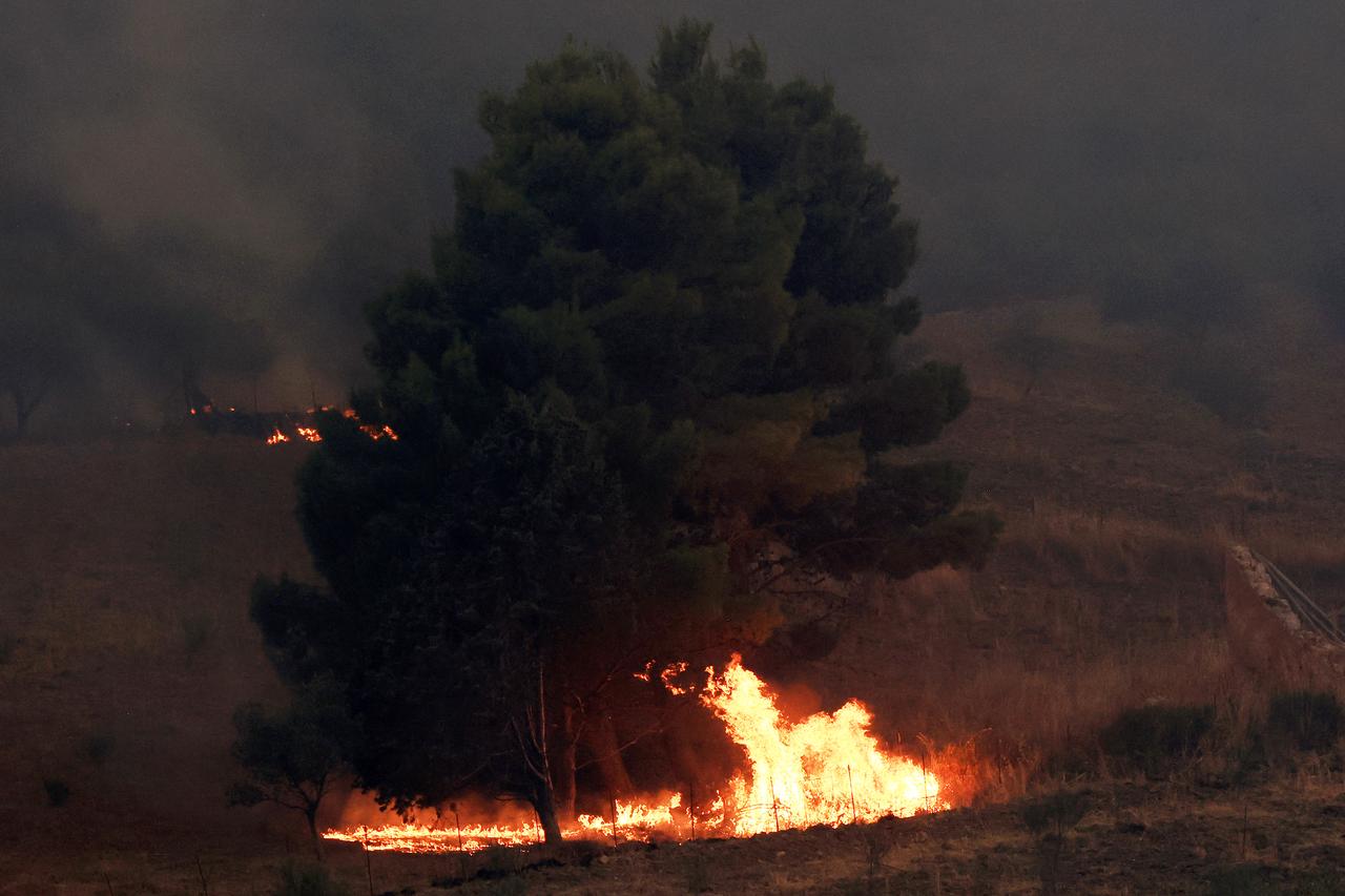 Flames spread through vegetation as wildfires continue near Palermo, Sicily, Italy, Aug. 30, 2026. (AA Photo)
