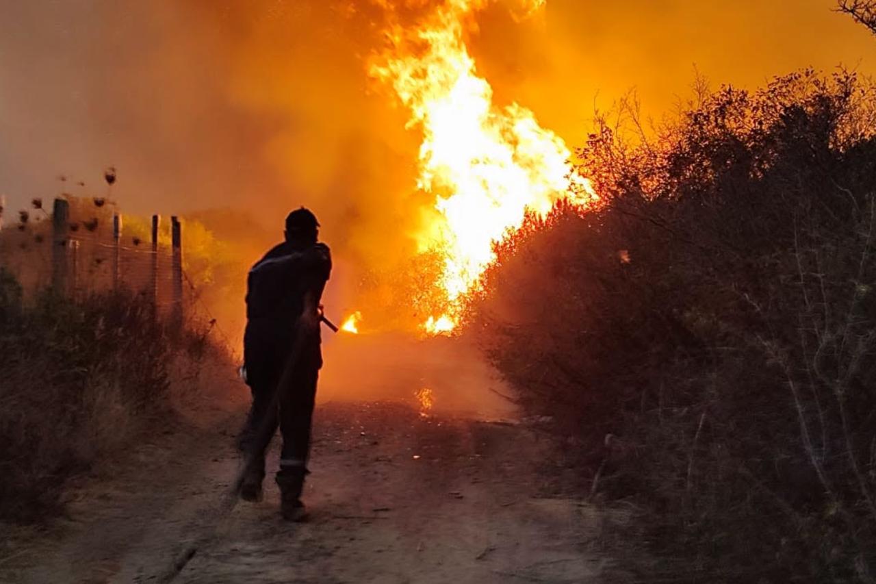 Algeria to seek death penalty for forest arson after fires kill 12