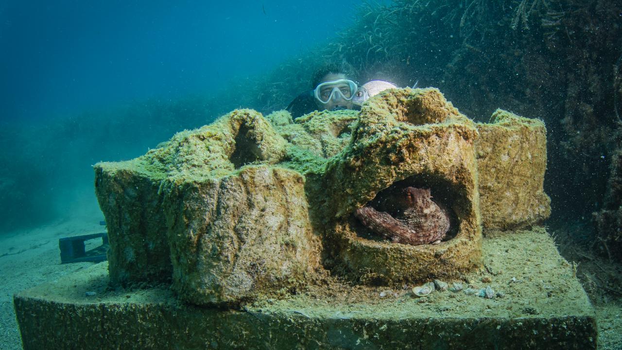 Izmir turns mussel waste into underwater home