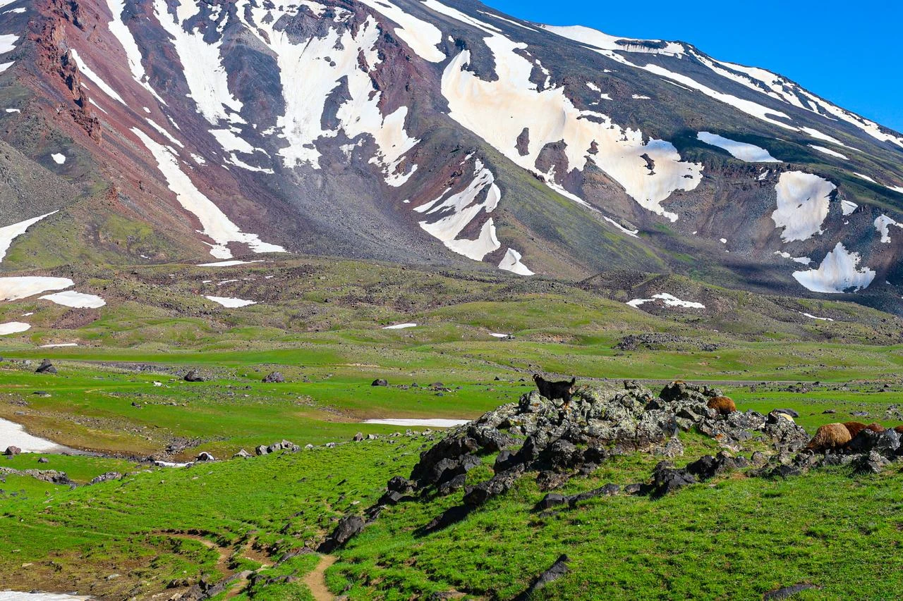 Spring landscapes persist on Mount Agri despite lowland summer heat