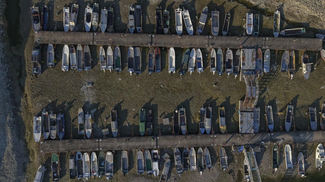 Heatwaves and drought grip Europe, Danube hits record low