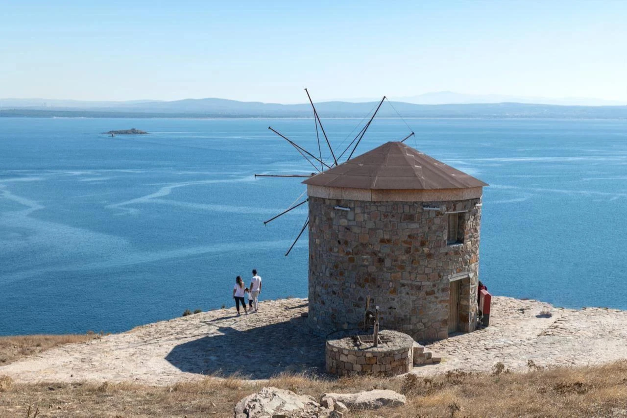 Largest coral forest in Aegean Sea discovered in Türkiye's waters