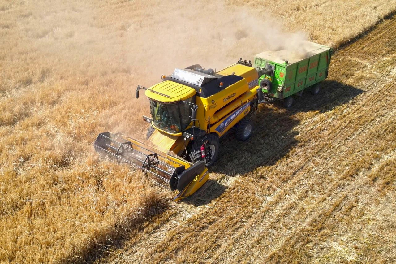 Heavy rains fuel record barley, wheat harvest in Türkiye's Elazig