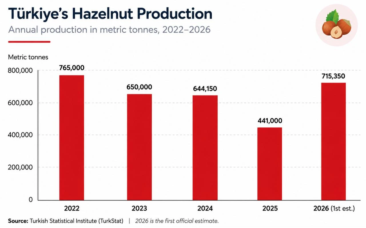 Column chart shows Türkiye's hazelnut production from 2022 to the first official estimate for 2026. (Chart by Türkiye Today)