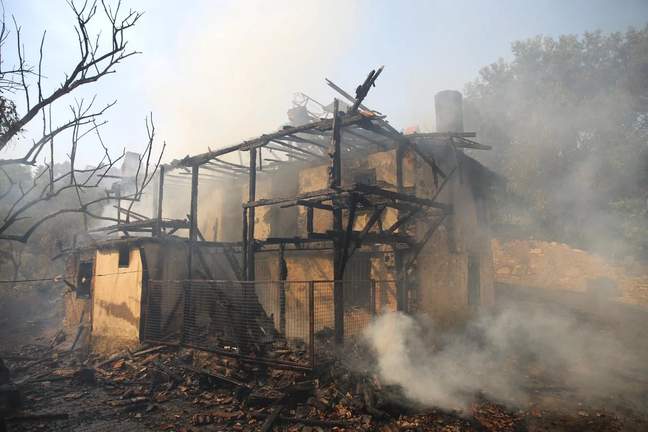 Wildfires leave 92 units destroyed or severely damaged across 5 Türkiye provinces