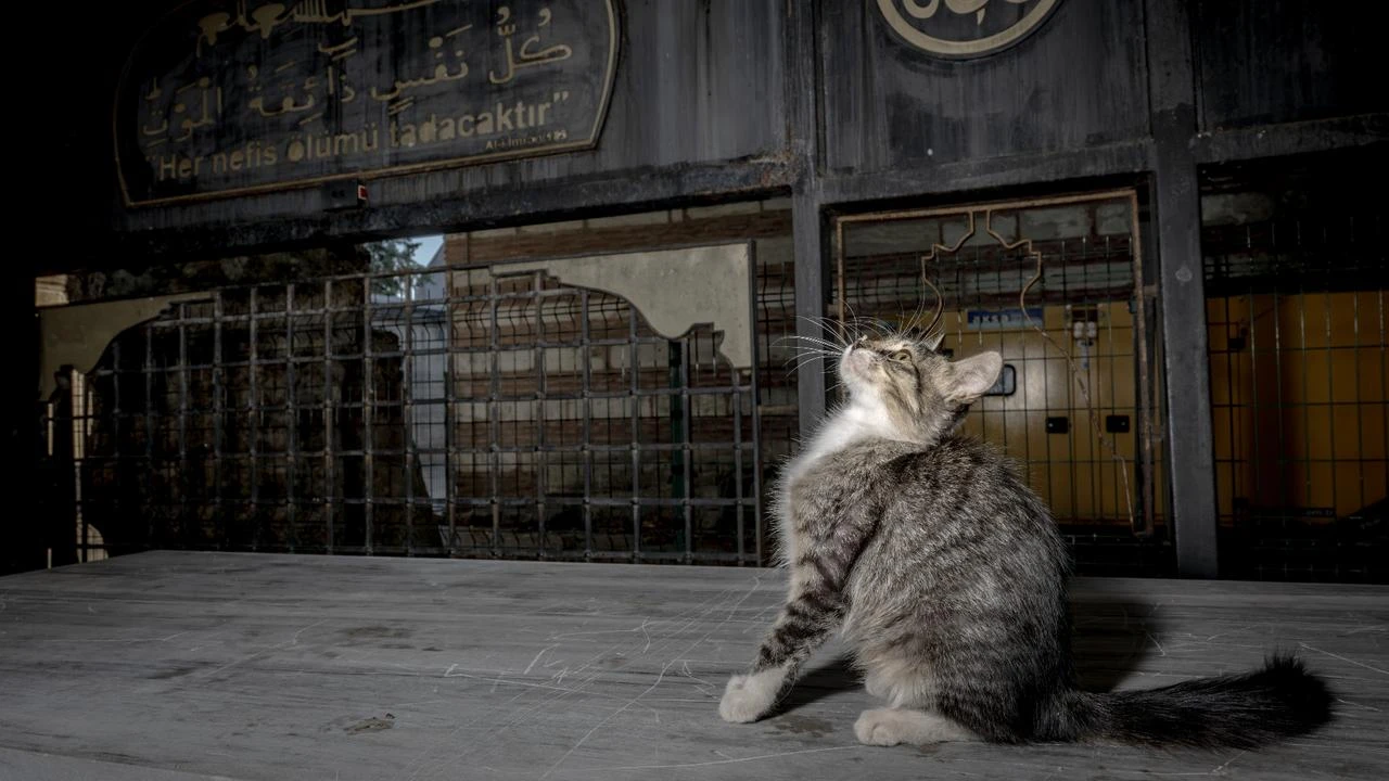 Anadolu Agency