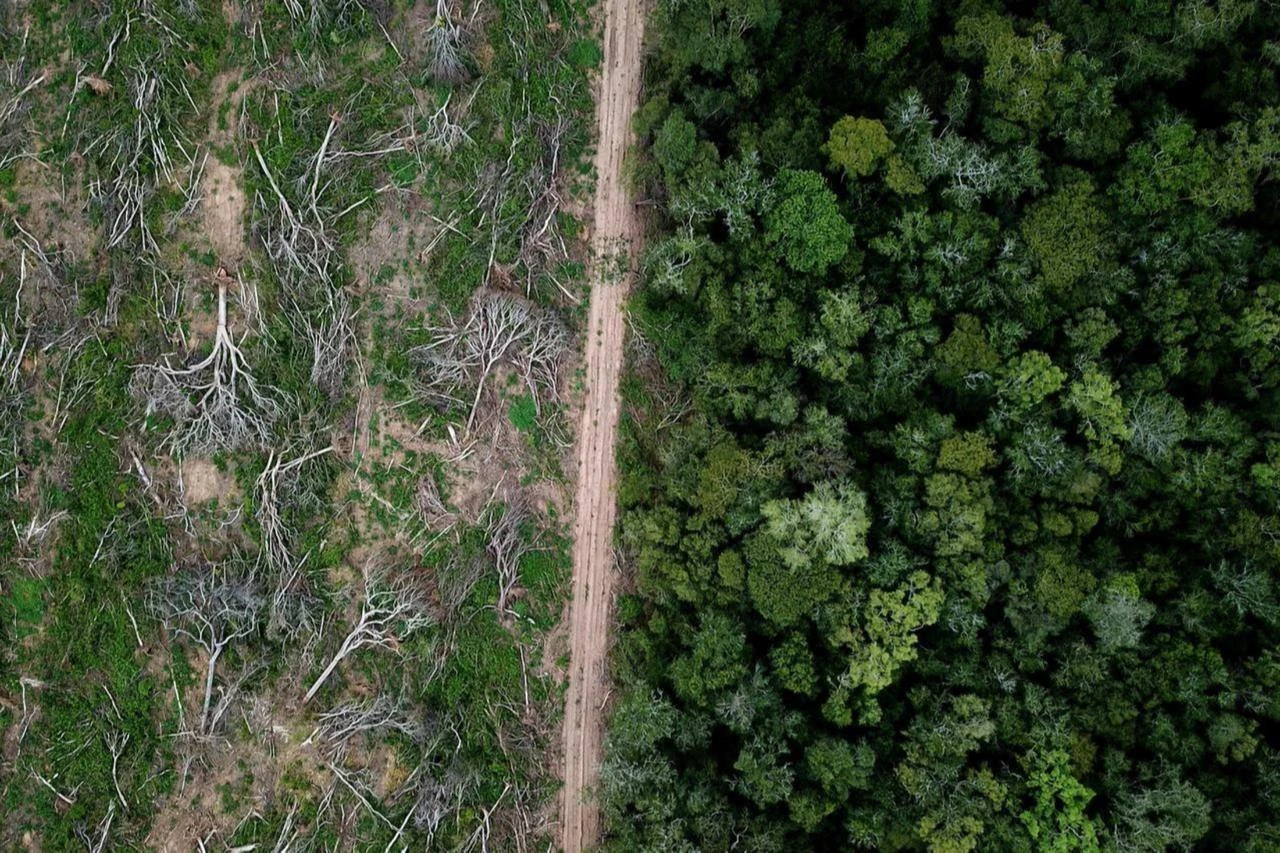 Deforestation hits record low in Brazilian Amazon