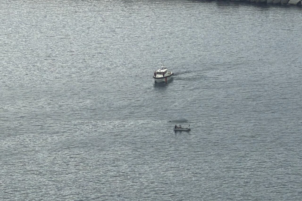 Turkish commandos destroy unmanned surface vessel found off Black Sea coast