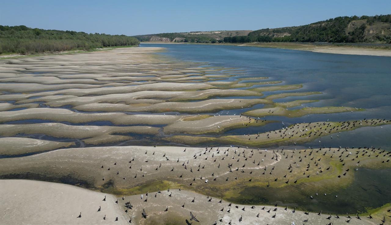 Birds gather on exposed sections of the partially dried-up Rhine riverbed amid drought conditions in Düsseldorf, Germany, Aug. 20, 2026. (AFP Photo)