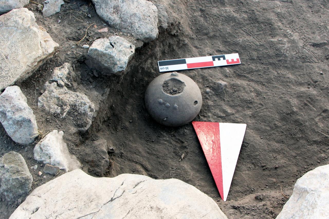 4,000-year-old Hittite vessel yields oldest known seeds of Ankara's 'love flower'