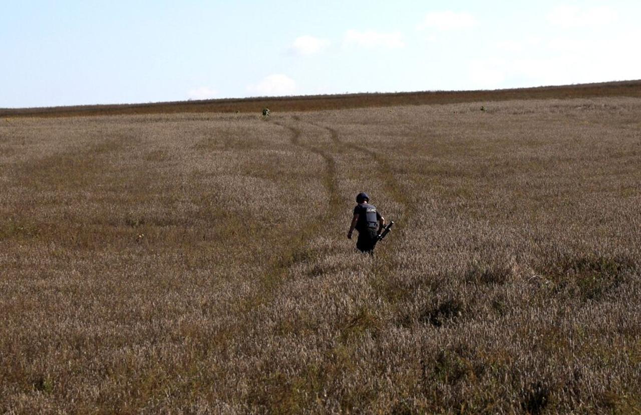A Ukrainian serviceman searches for land mines in a wheat field in the Donetsk region on October 7, 2022. (AFP Photo)