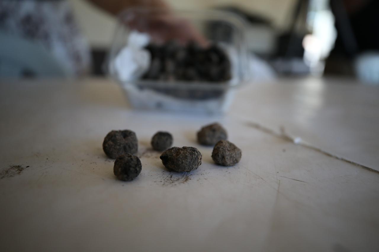 Türkiye cave yields black figs remains dated to 6300 BC