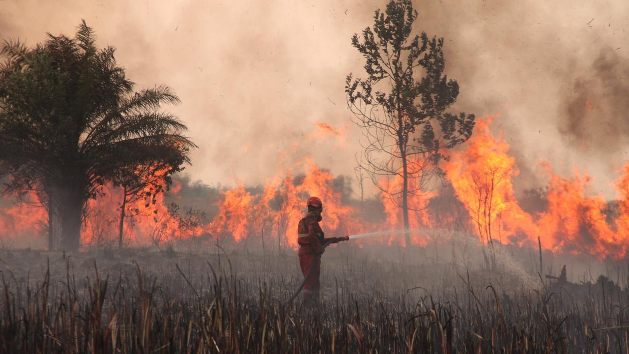 Wildfires blanket Indonesia in toxic haze as thousands fall ill