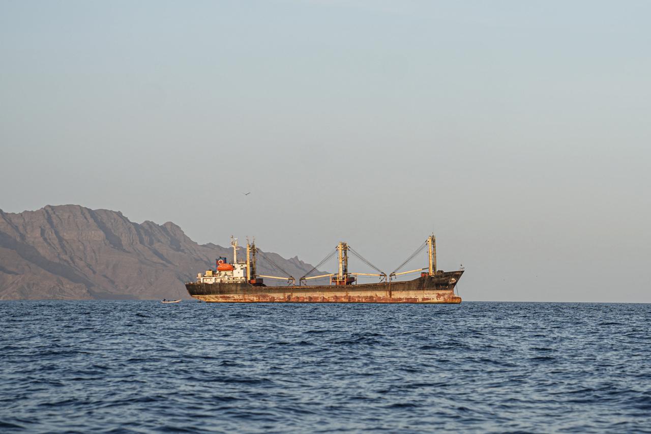 Egypt rejects Houthi bid for direct Red Sea shipping talks: Report Image