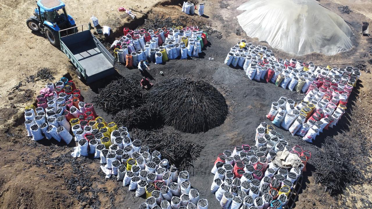 Families travel to Elazig to turn oak wood into charcoal for living