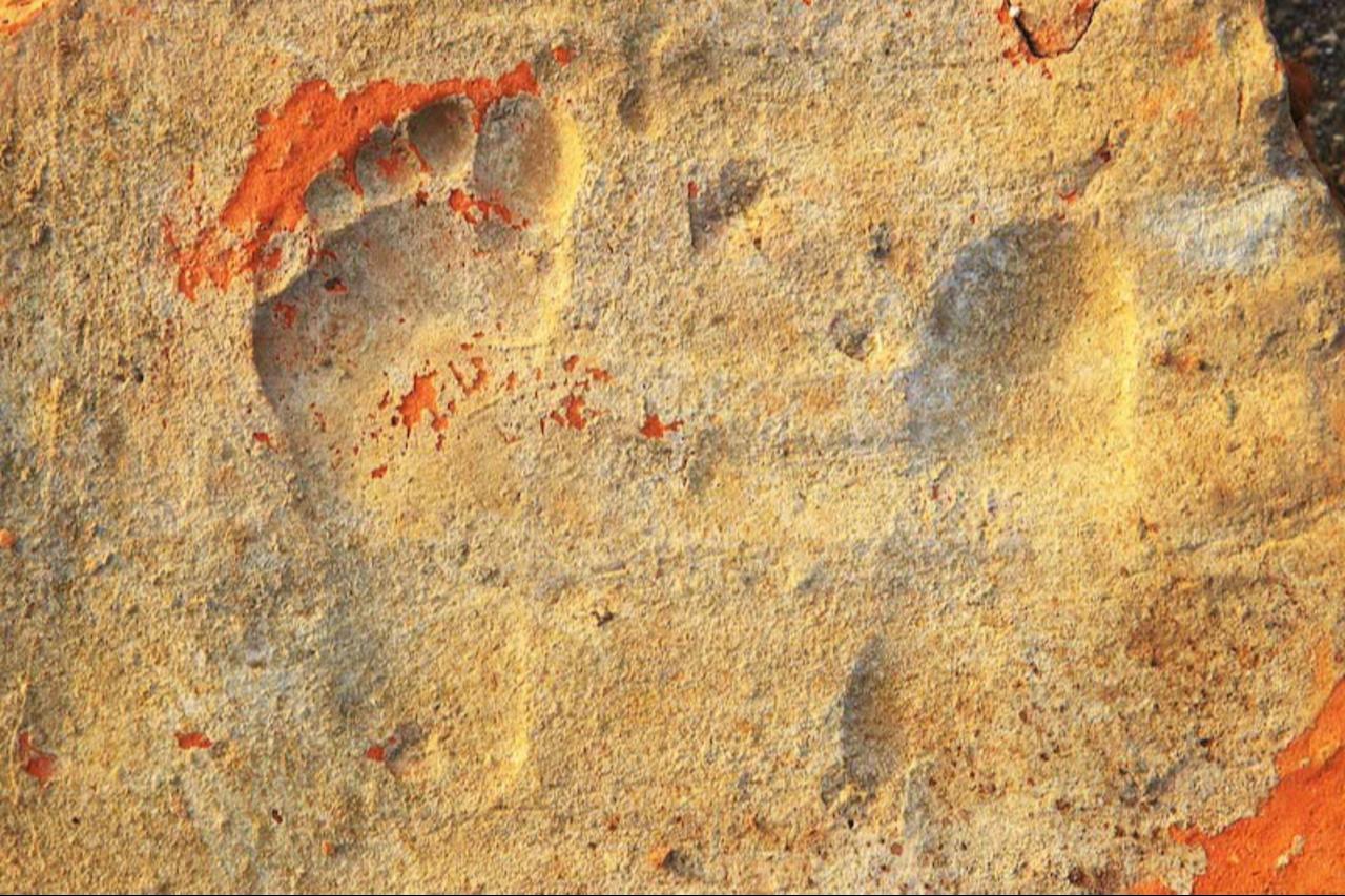 Children’s footprints dating back 1,900 years found in Türkiye
