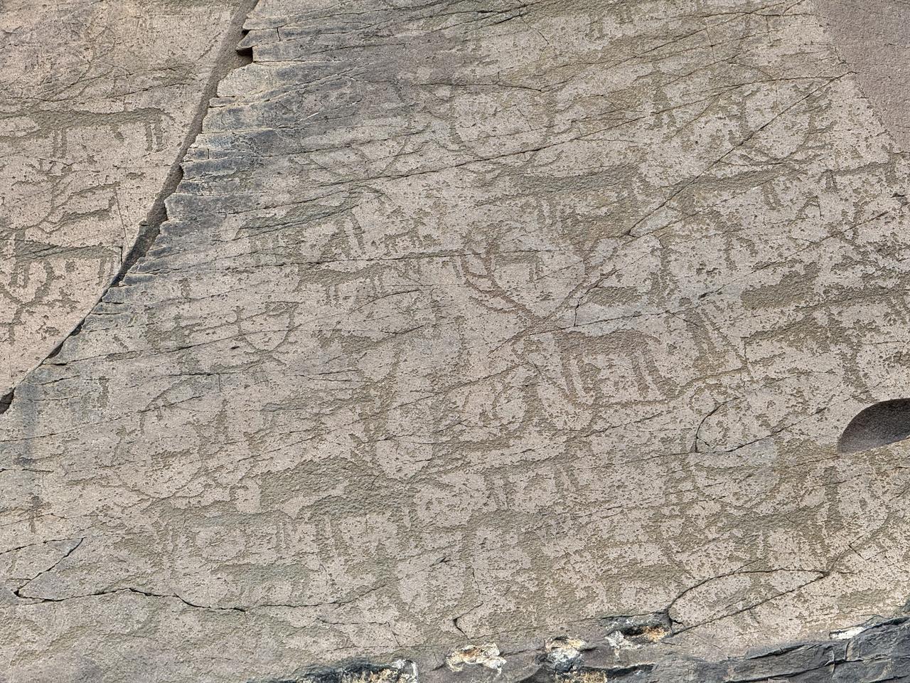 A view of ancient rock paintings, dating back thousands of years, is an important transit route between the Caucasus and Anatolia, shed light on the early cultures of the region in Kars, Türkiye on September 17, 2026. (AA Photo)