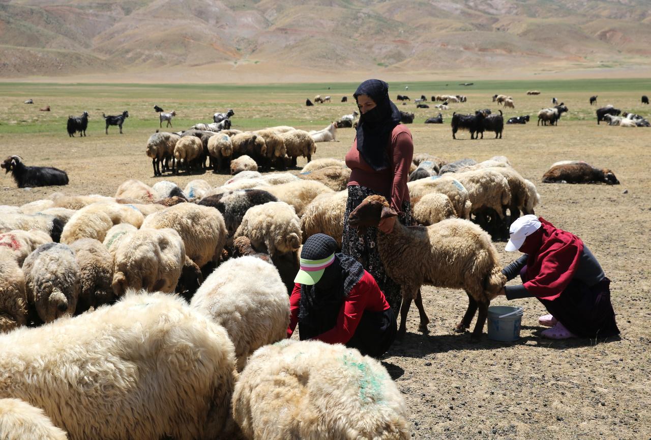 Anadolu Agency