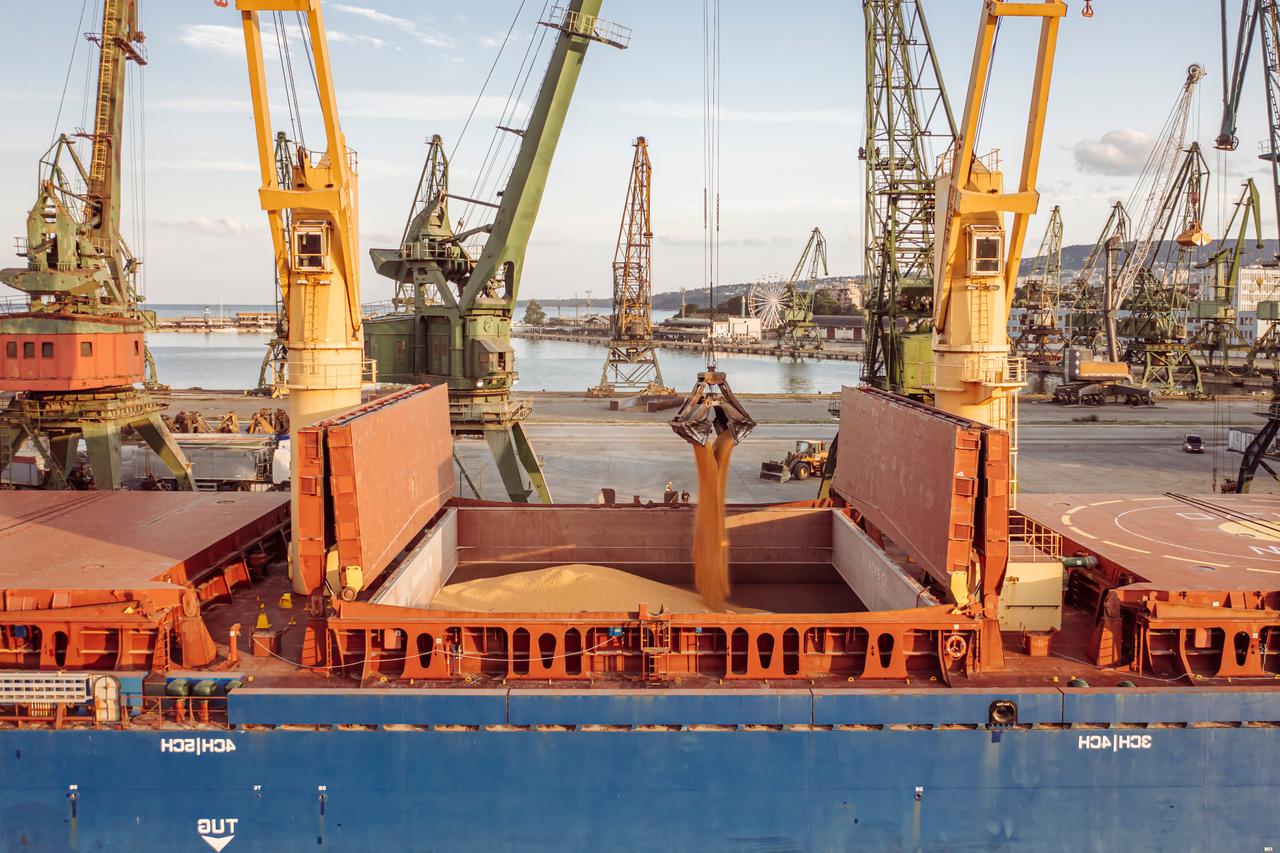 Russia's deputy FM says no grounds to return Black Sea grain initiative
