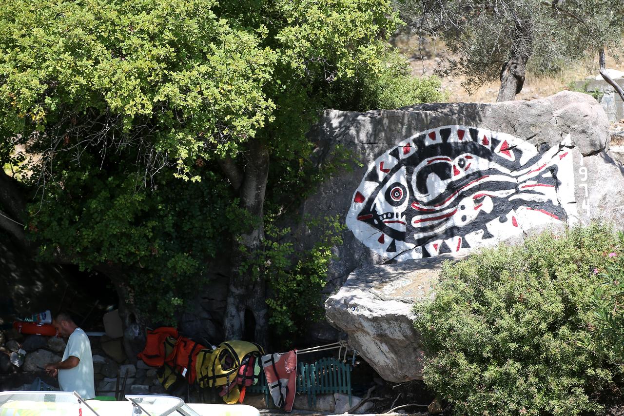 Fish figure drawn on rock in 1974 attracts tourists to Mugla bay