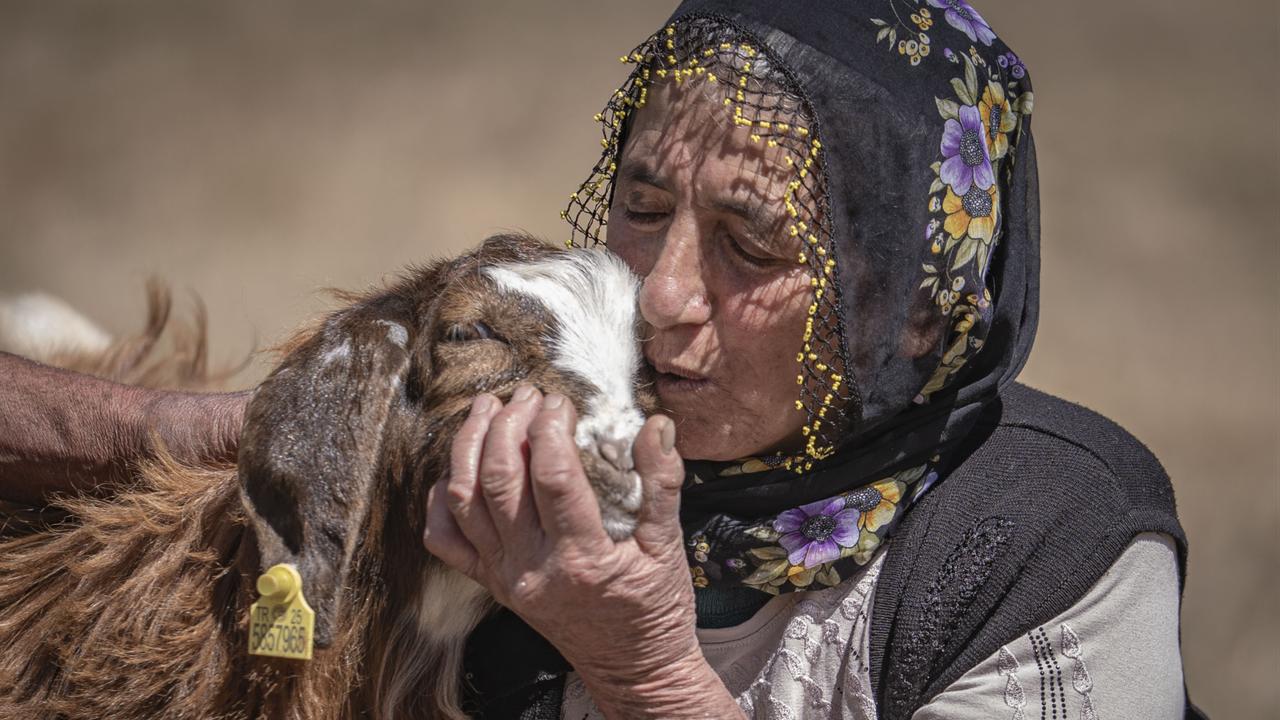 Turkish mountain couple keeps 50 years of love alive Image