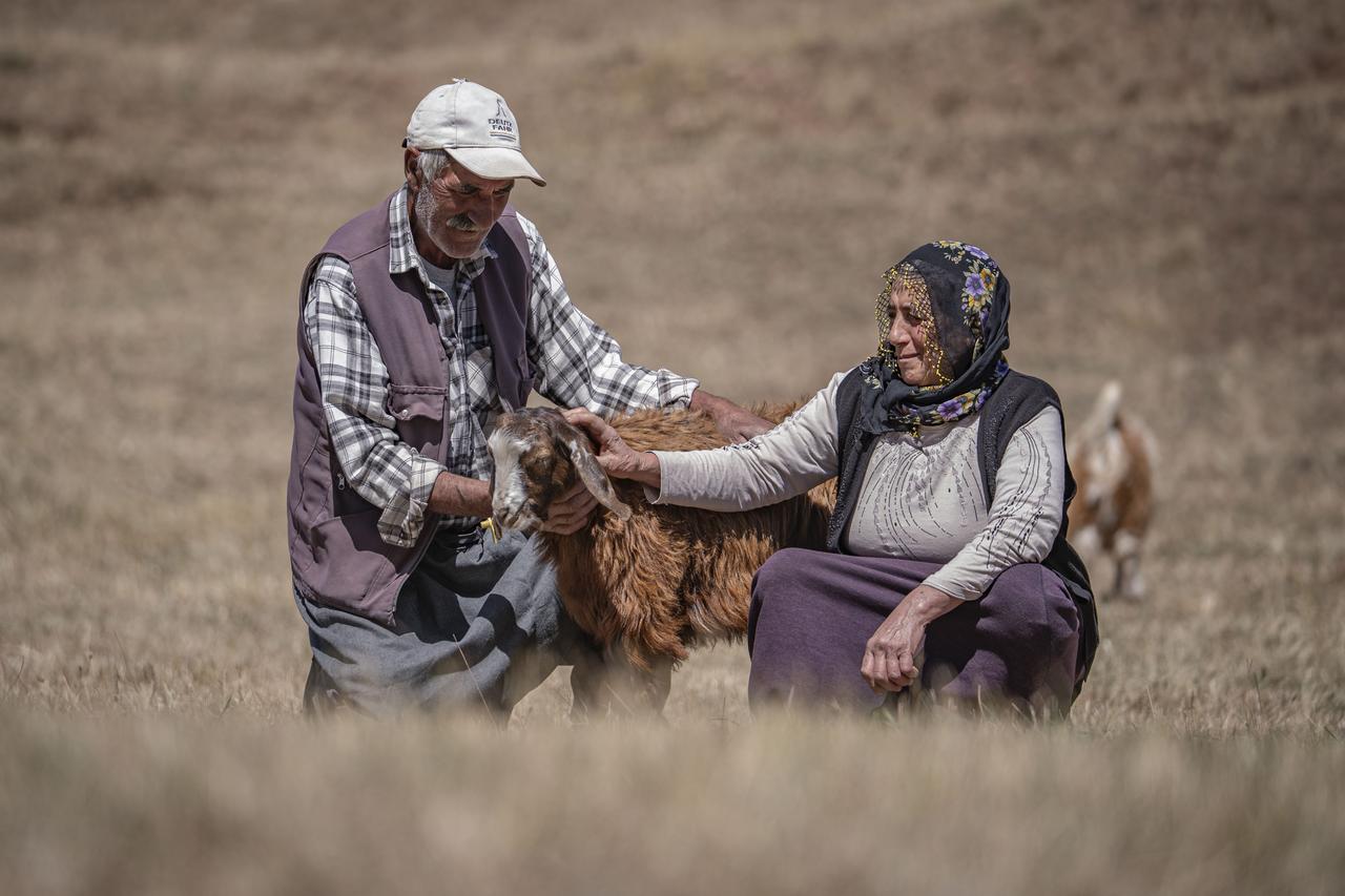 Anadolu Agency