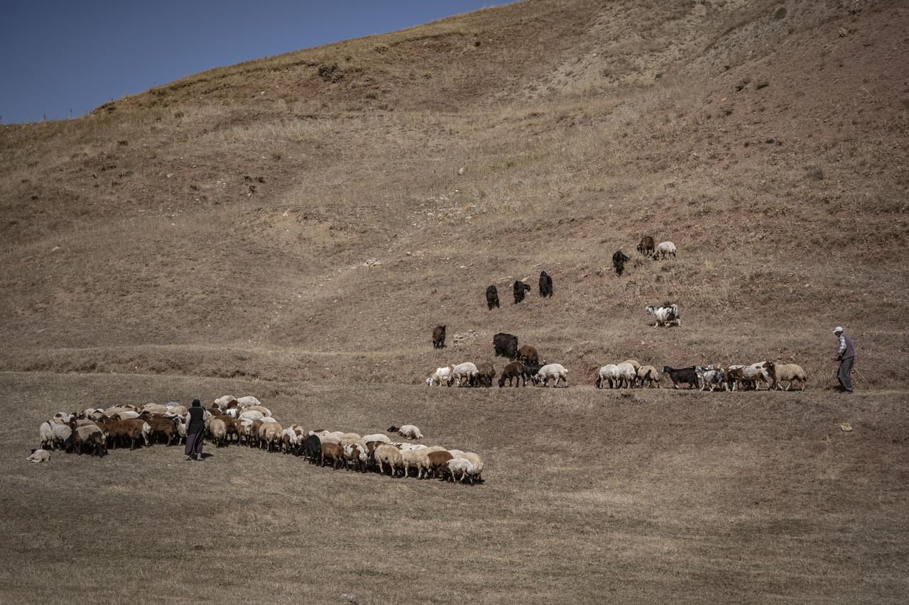 Anadolu Agency