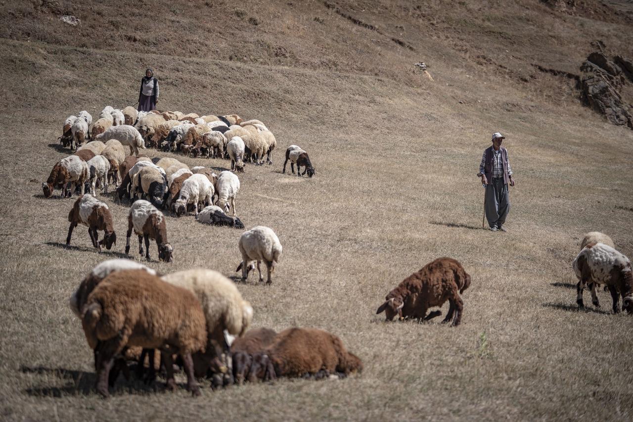 Anadolu Agency