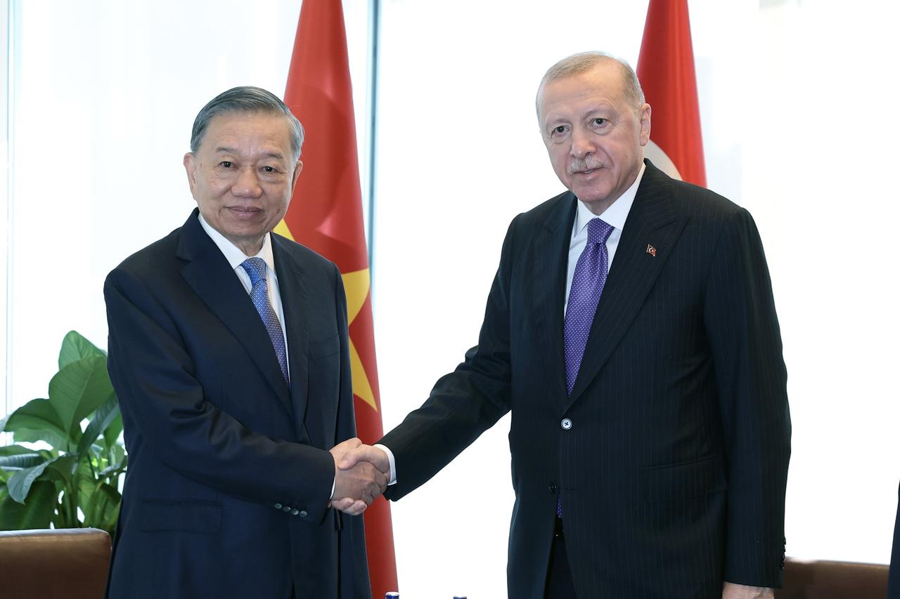 Erdogan, Vietnamese president discuss upgrading ties to strategic partnership