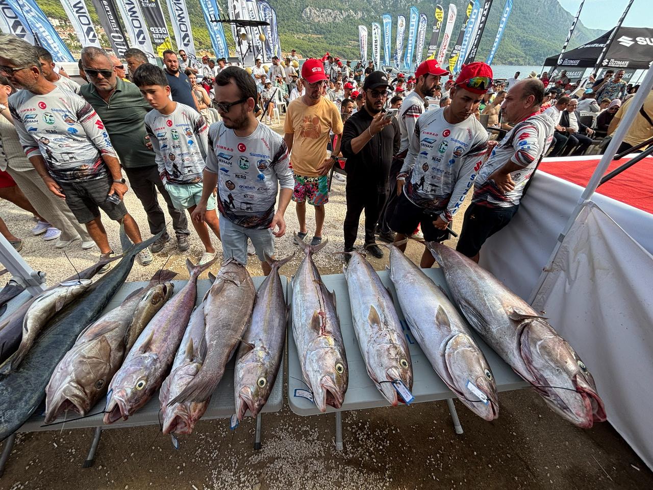 Fish caught during the Kumluca Buyuk Baligin Pesinde Fishing Tournament are displayed for judging in Kumluca, Antalya, Türkiye, Sept. 20, 2026. (AA Photo)