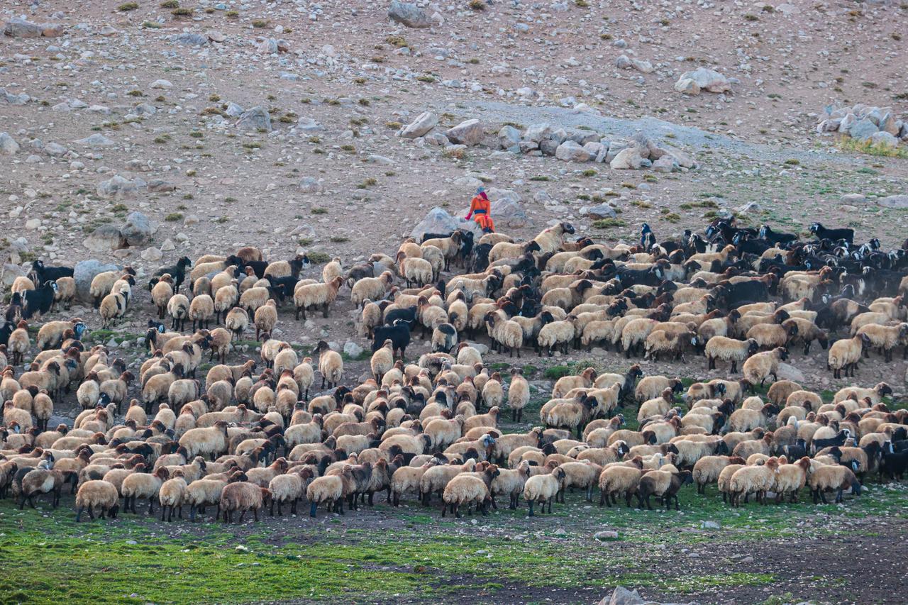 Anadolu Agency