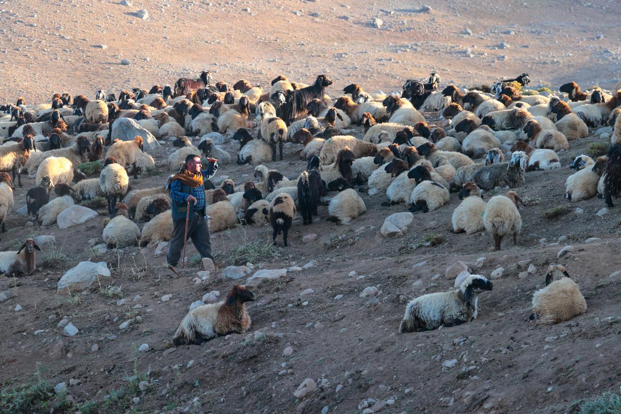 Anadolu Agency