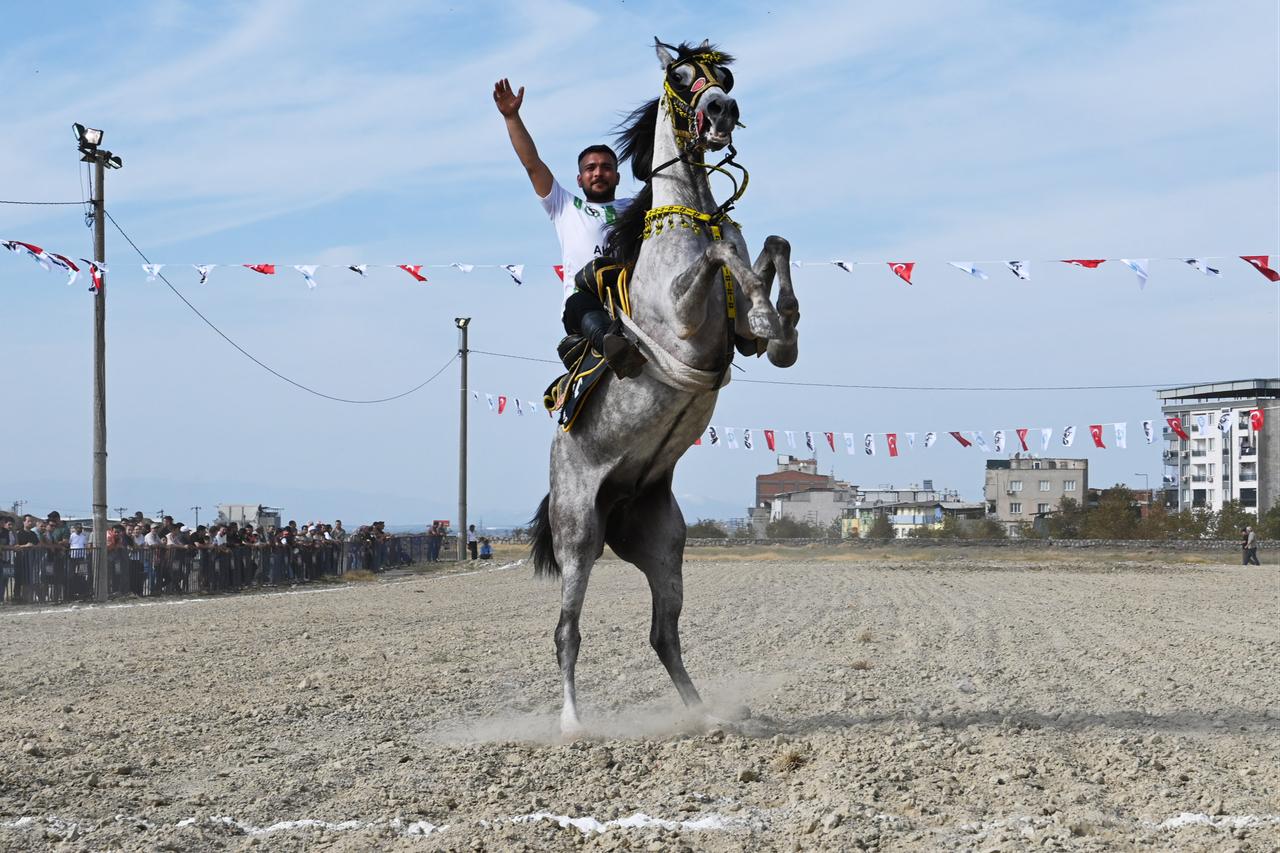A rider performs on a rearing horse during a traditional cirit event in Manisa, Türkiye, Sept. 20, 2026. (AA Photo)