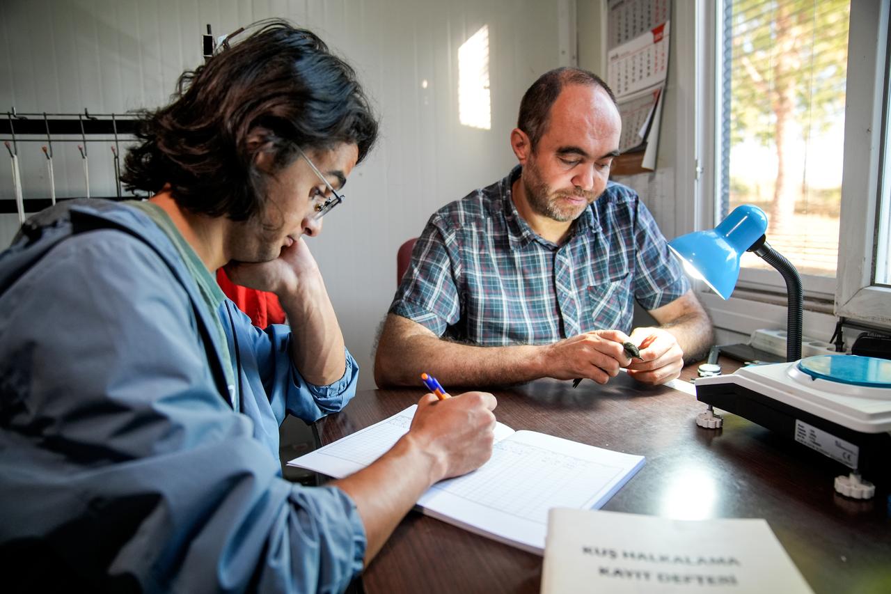 Researchers examine and record a bird as part of migration-monitoring and ringing studies at Istanbul University-Cerrahpasa's Avcilar Campus in Istanbul, Türkiye. (AA Photo)