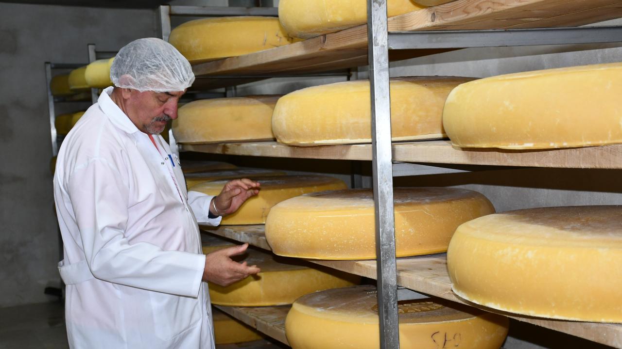 Kars' high-altitude pastures give rise to Türkiye's registered gruyere cheese