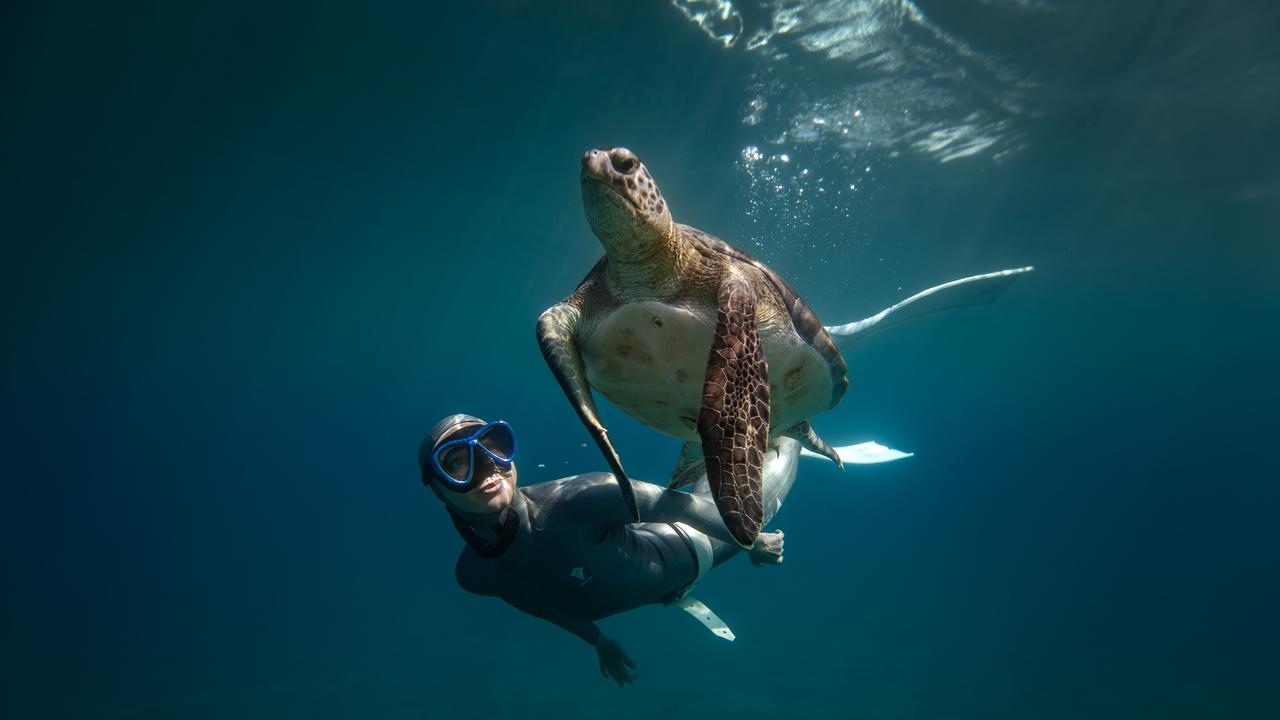 Freediver Sahika Ercumen dives with sea turtles in Antalya to flag plastic, boat harm  