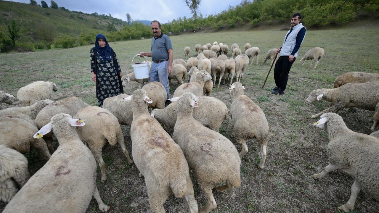 Anadolu Agency